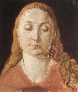 Albrecht Durer Portrait of a woman with Loose Hair oil on canvas